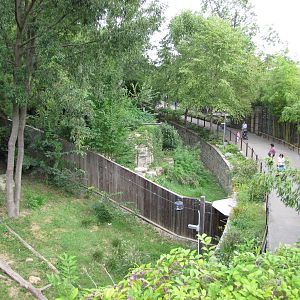 National Zoo 2010 - Part of Fujifilm Giant Panda Habitat in Asia Trail