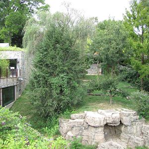 National Zoo 2010 - Part of Fujifilm Giant Panda Habitat in Asia Trail