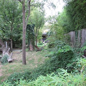 National Zoo 2010 - Part of Fujifilm Giant Panda Habitat in Asia Trail