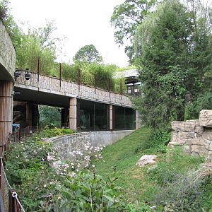 National Zoo 2010 - Part of Fujifilm Giant Panda Habitat in Asia Trail