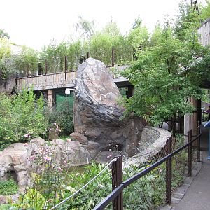 National Zoo 2010 - Part of Fujifilm Giant Panda Habitat in Asia Trail