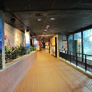 National Zoo 2010 - Inside the Fujifilm Giant Panda Habitat