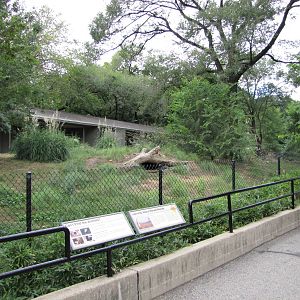 National Zoo 2010 - Front of Maned Wolf exhibit