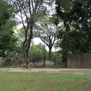 National Zoo 2010 - Dama Gazelle and Scimitar-Horned Oryx