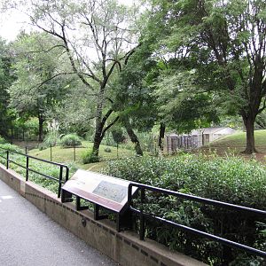 National Zoo 2010 - Alongside Cheetah exhibit