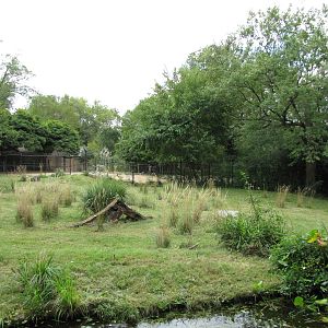 National Zoo 2010 - Part of Cheetah exhibit