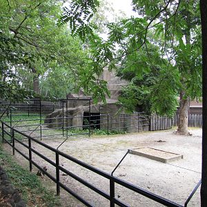 National Zoo 2010 - Left side of Przewalskis Horse exhibit