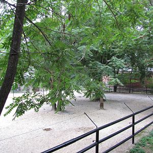 National Zoo 2010 - Right side of Przewalskis Horse exhibit