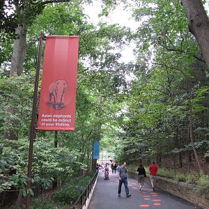 National Zoo 2010 - Pathway to the exhibit in Elephant Trails