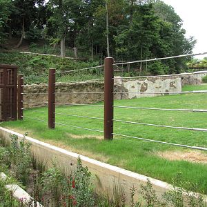 National Zoo 2010 - Front of exhibit in Elephant Trails