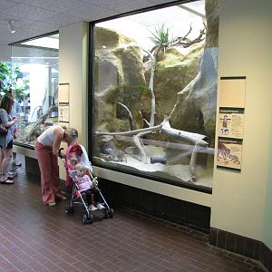 National Zoo 2010 - Inside the Small Mammal House