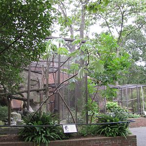 National Zoo 2010 - Enclosures behind the Small Mammal House