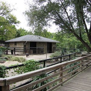National Zoo 2010 - Front of the Collared Peccary exhibit
