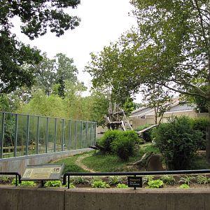 National Zoo 2010 - Part of Gorilla outdoor exhibit