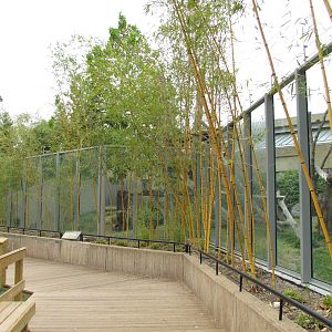 National Zoo 2010 - Part of Gorilla outdoor exhibit