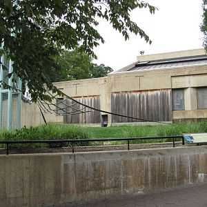 National Zoo 2010 - Part of Orangutan outdoor exhibit
