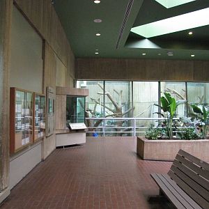 National Zoo 2010 - Inside Great Ape House