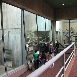 National Zoo 2010 - Front of Orangutan indoor exhibits in Great Ape House