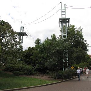 National Zoo 2010 - Orangutan Line