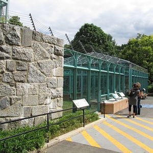 National Zoo 2010 - Side of Sulawesi Black Macaque exhibit in Think Tank