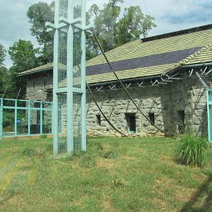 National Zoo 2010 - Outdoor Sulawesi Black Macaque exhibit in Think Tank