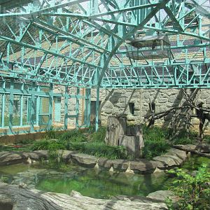 National Zoo 2010 - Indoor Sulawesi Black Macaque exhibit in Think Tank