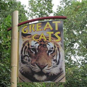 National Zoo 2010 - Great Cats signage