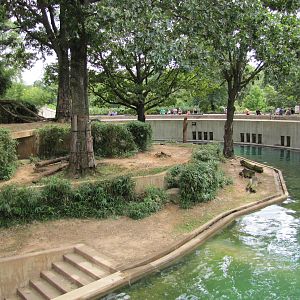 National Zoo 2010 - Sumatran Tiger exhibit