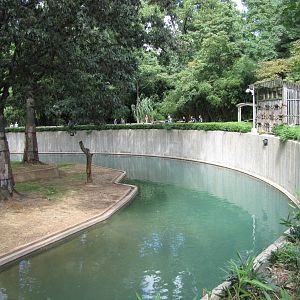 National Zoo 2010 - Sumatran Tiger exhibit