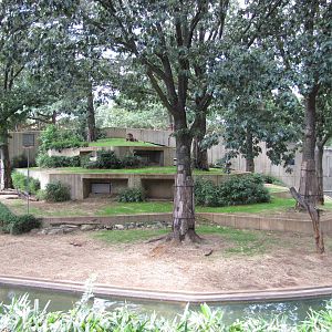 National Zoo 2010 - African Lion exhibit