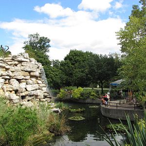 National Zoo 2010 - Lemur Island