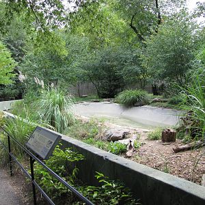 National Zoo 2010 - Giant Anteater exhibit