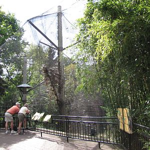 National Zoo 2010 - Gibbon Ridge