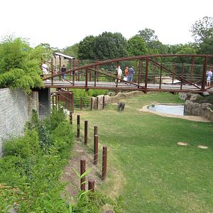 National Zoo 2010 - Elephant Trails exhibit seen from Asia Trail