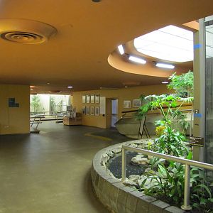 National Zoo 2010 - Inside Bird House