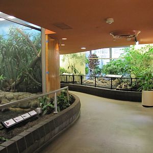 National Zoo 2010 - Inside Bird House