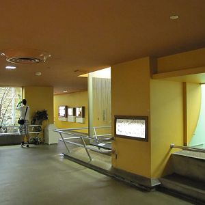 National Zoo 2010 - Inside Bird House