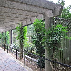 National Zoo 2010 - Crane Line at the Bird House