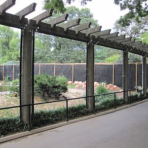 National Zoo 2010 - Crane Line at the Bird House