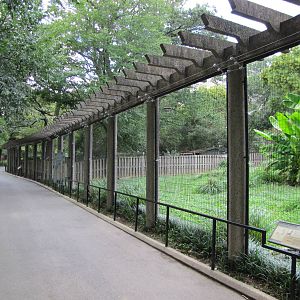 National Zoo 2010 - Crane Line at the Bird House