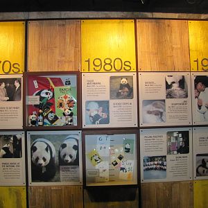 National Zoo 2010 - History of Giant Pandas at the National Zoo
