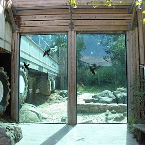 Baltimore Zoo - General view of Polar Bear Watch