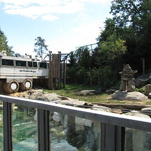 Baltimore Zoo - General view of Polar Bear Watch