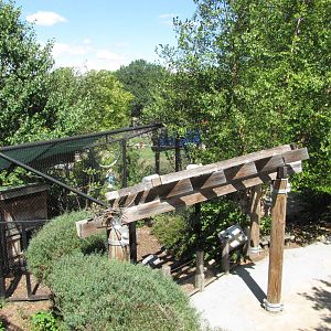 Baltimore Zoo - Raven enclosure in Polar Bear Watch