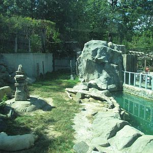 Baltimore Zoo - General view of Polar Bear Watch