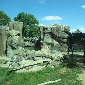 Baltimore Zoo - General view of Polar Bear Watch