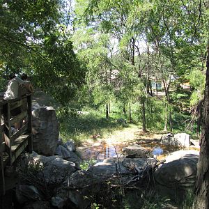 Baltimore Zoo - Sitatunga exhibit in African Journey