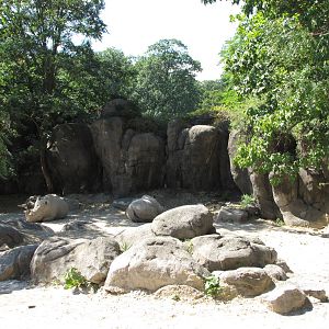 Baltimore Zoo - White Rhinoceros in African Journey