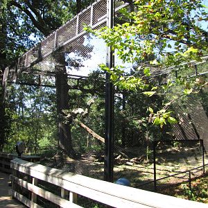 Baltimore Zoo - African Leopard enclosure in African Journey