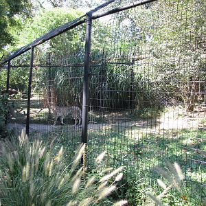 Baltimore Zoo - Cheetah enclosures in African Journey